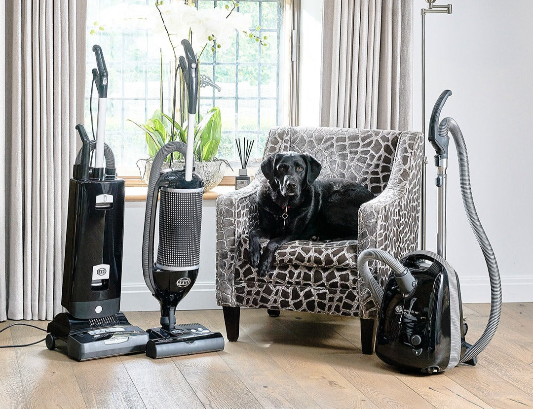 SEBO Upright vs. Canister Vacuums