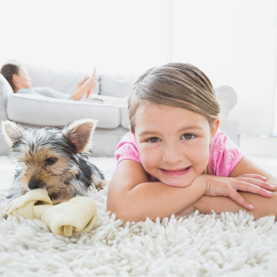 SEBO Duo-P is safe for kids and pets
