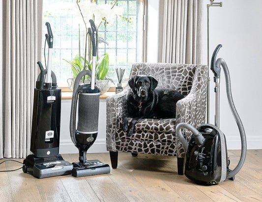 SEBO Upright vs. Canister Vacuums